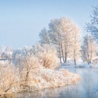 Деревья на берегу :: Юлия Батурина