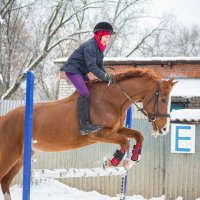 Зимняя тренировка :: Елена Логачева