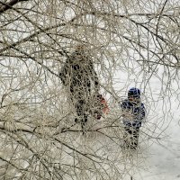 Зимняя прогулка. :: Татьяна Помогалова