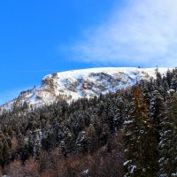 Путешествие "Вишенки" :: Вячеслав Случившийся