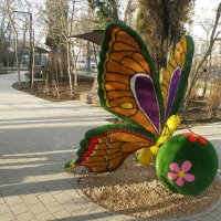 Бабочка и цветочки :: Александр Рыжов