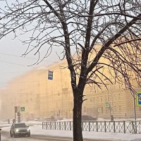 11 января 2022 туман :: Елена Вишневская