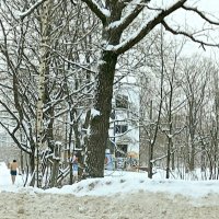 Вакула идёт к проруби ))) :: Елена Вишневская