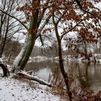 Зима на реке Angerapp :: Владимир Камшилов