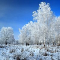 Пейзаж морозный :: Mikhail Irtyshskiy