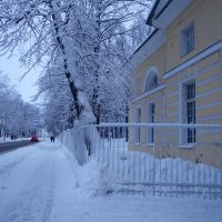 зима в Пушкине :: Елена 
