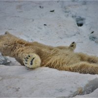 К взлёту готов! :: аркадий 