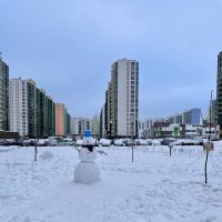 Снеговик ⛄️ :: Ирина Климченкова