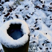 Зима в Южной Германии 46 :: Алексей Кузнецов