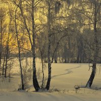 Зимние зарисовки 5 :: Сергей Жуков