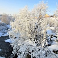 Речка Пеновка в зимнюю стужу. :: ЛЮДМИЛА 