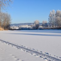 Мороз не для лыжных прогулок :: Владимир Звягин