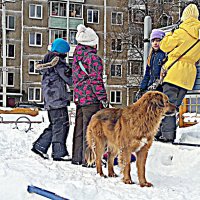 дети и бездомная собака :: Любовь 