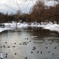 Речка Городня зимой (#2) :: Alex Sash