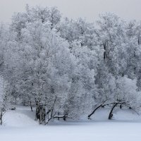 Зимний пейзаж... :: Наташа *****