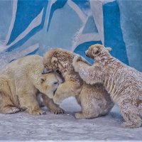 Герда с медвежатами. :: аркадий 