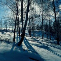 *** :: Александр Шимохин