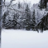 Зима - январь :: Милешкин Владимир Алексеевич 