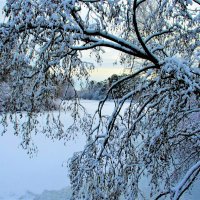 Зима – это время, когда ты ждешь лета, но в то же время безумно радуешься снегопаду:-) :: Ольга Русанова (olg-rusanowa2010)