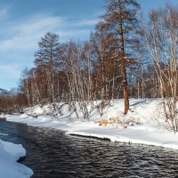 ... :: Евгений Житников