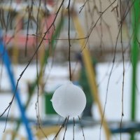 Снежки на ветвях. :: Mitcu-Ray 