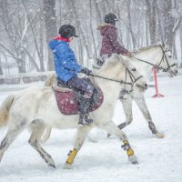 Зима :: Елена Логачева