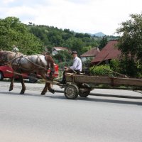 сельская жизнь :: Василий Попович