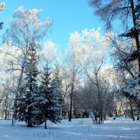 Зима... :: раиса Орловская