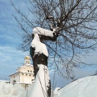 "Клён ты мой опавший..." :: Владимир Шошин