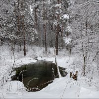 Лесной родник. :: Эдуард Кокозов