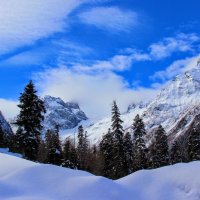 В непорочной  красоте :: Вячеслав Случившийся