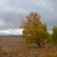 Времена года... :: Андрей Хлопонин