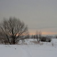 Зимний день :: Андрей Снегерёв