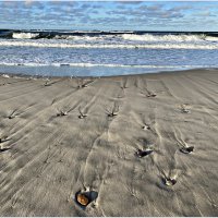 Море, камни и песок. :: Валерия Комова