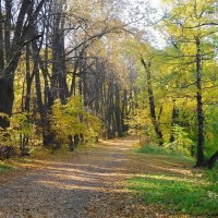 Парк Кузьминки :: Маргарита Батырева