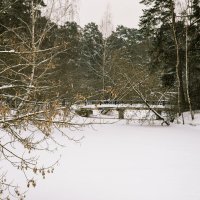 Зимние озеро :: Александр 