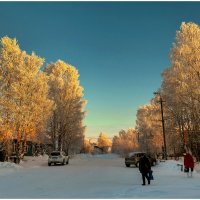 Белый сезон в лучах заходящего солнца. :: Валентин Кузьмин