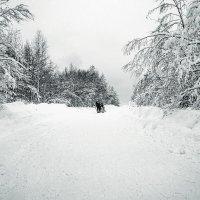 Зимняя дорога :: Roman Zateshilov