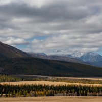 Алтай :: Кассандра Мареева