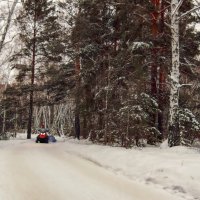 Мчатся мотосани… :: Сергей Царёв