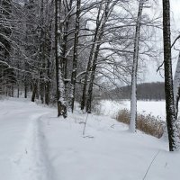 Зима в деревне. :: Милешкин Владимир Алексеевич 