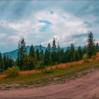 В Карпатах. :: Юрий Гординский