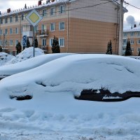 Снежный январь :: Светлана 