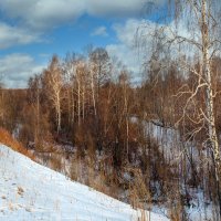 Зимняя панорама :: Алексей Мезенцев