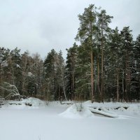 Скрывшись под снегом :: Андрей Снегерёв