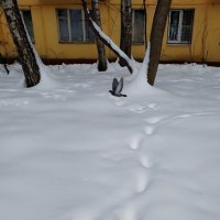Не полет кондора :: Андрей Лукьянов