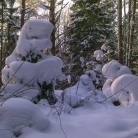 Зимы причуды :: Сергей Цветков