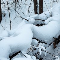 "Там чудеса: там леший бродит, Русалка на ветвях сидит;" :: Владимир Безбородов