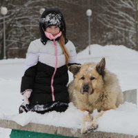 Пёс Кефир :: Cергей Кочнев