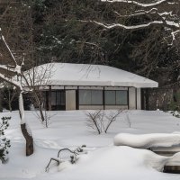 Зима в Японском Садике :: юрий поляков